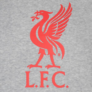 Liverpool fc hoodie online junior